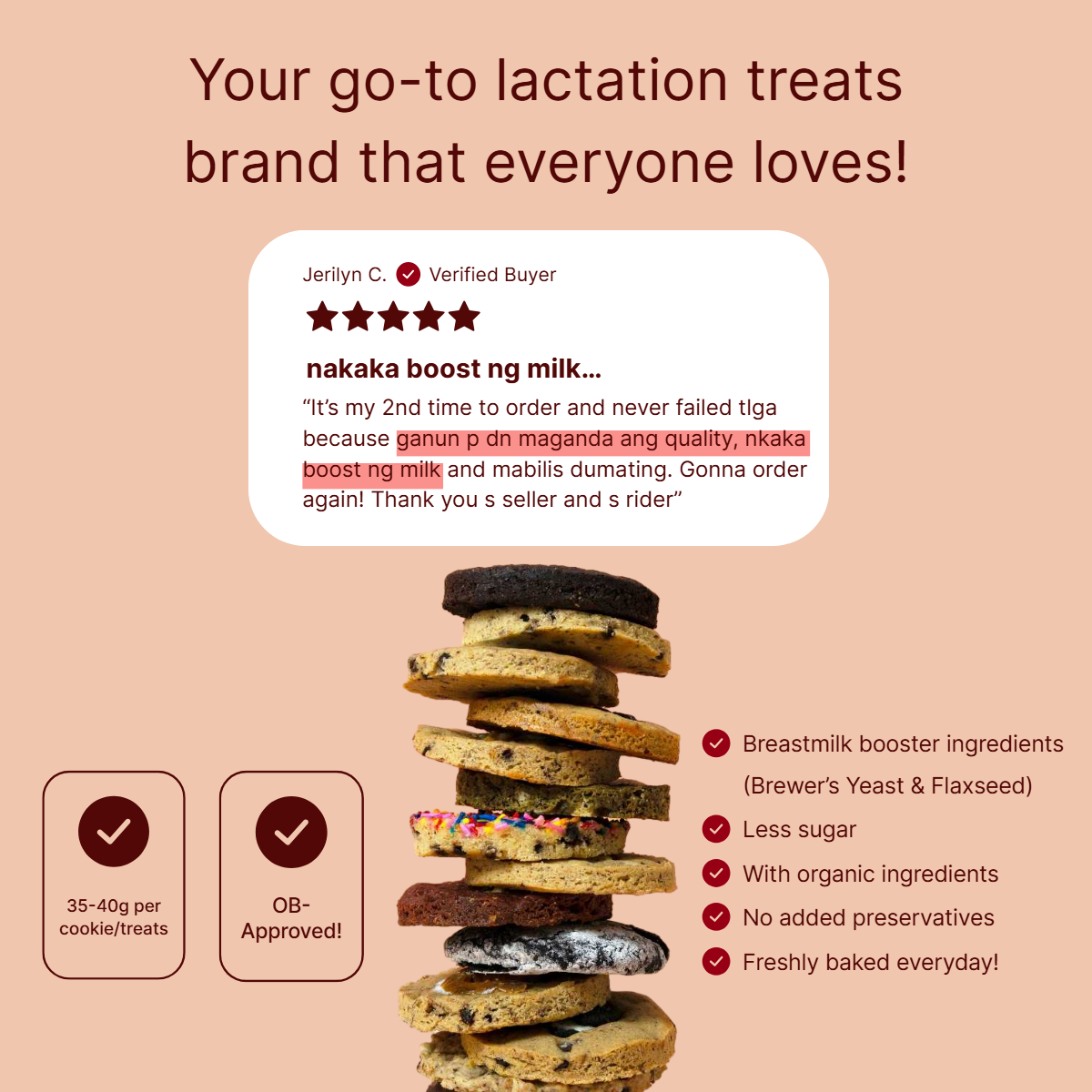 RCG MATCHA LACTATION COOKIES (12pcs)